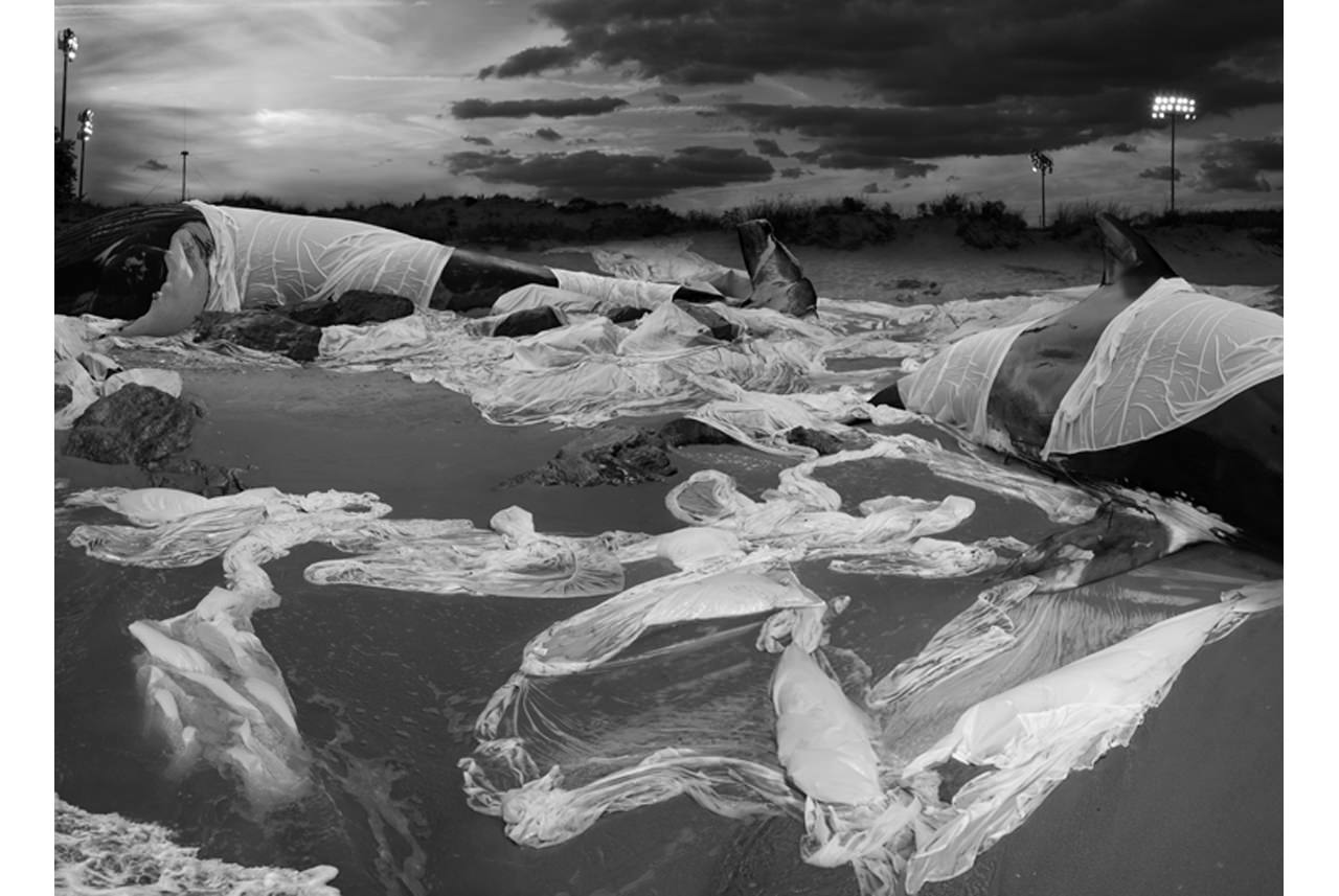 anthony-goicolea-sleeping-with-giants-fotografia-sobre-alumini-2011-edicio-de-9