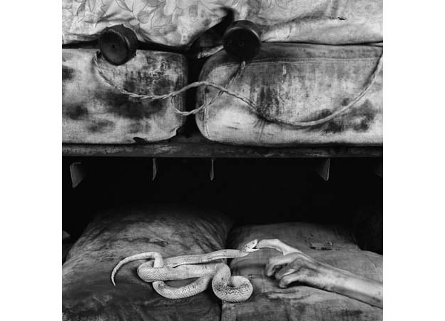 bite-2007-gelatin-slver-print-80-x-80-cm