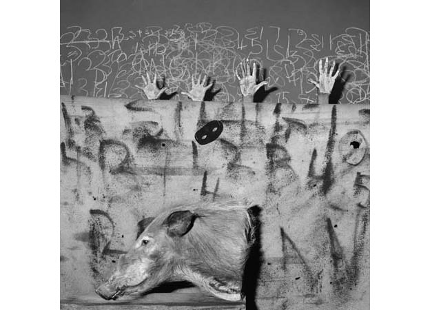 celebration-2007-gelatin-slver-print-80-x-80-cm