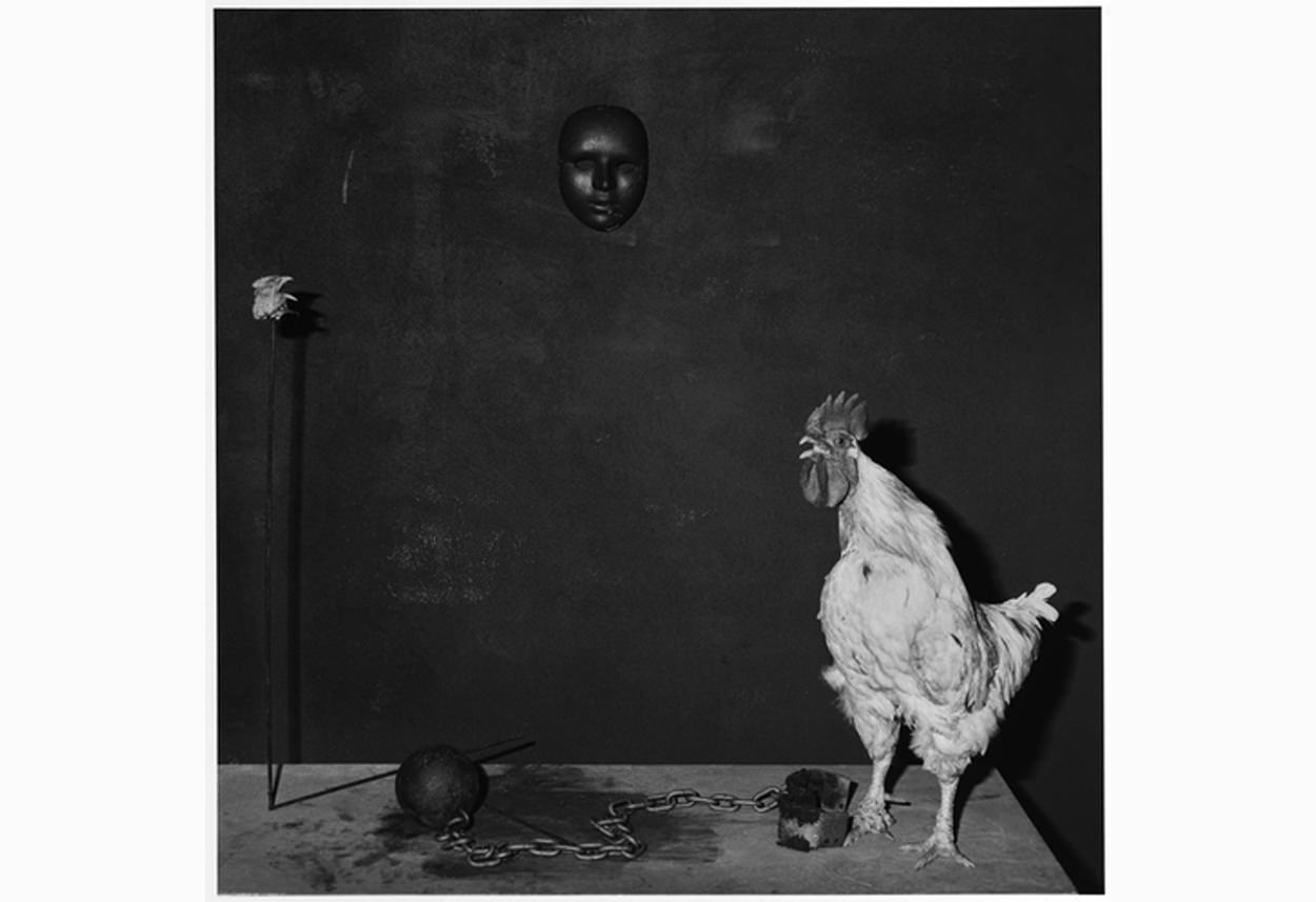 conversation-2003-gelatine-silver-print-40-x-40-cm