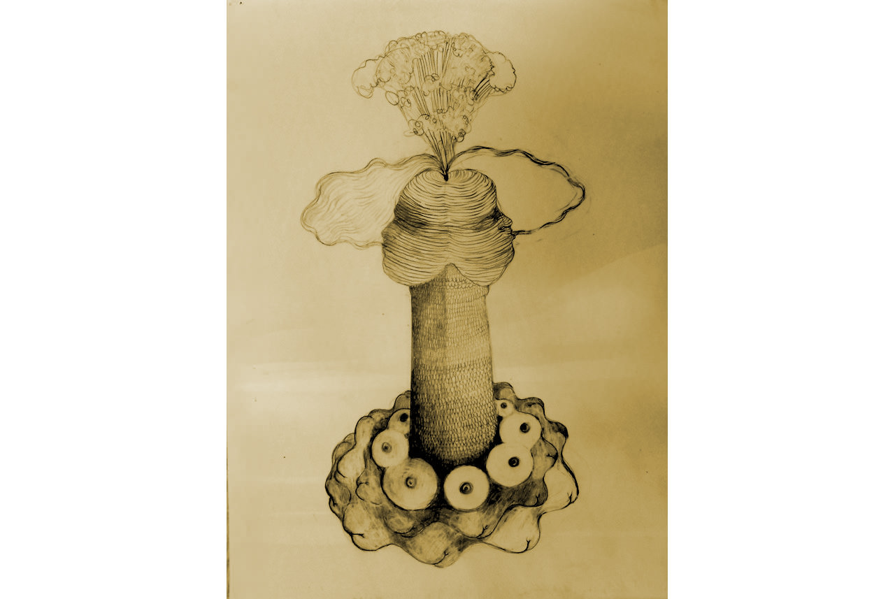 el-anello-de-invisibilida-2012-llapis-i-aquarel-la-sobre-paper-encerat768-x-56-cm