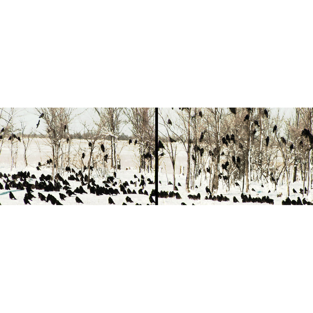 eve-sussman-rufus-corporation-a-parliament-of-rooks-2009-2-channel-video-with-2-screens-11430-x-3556-cm