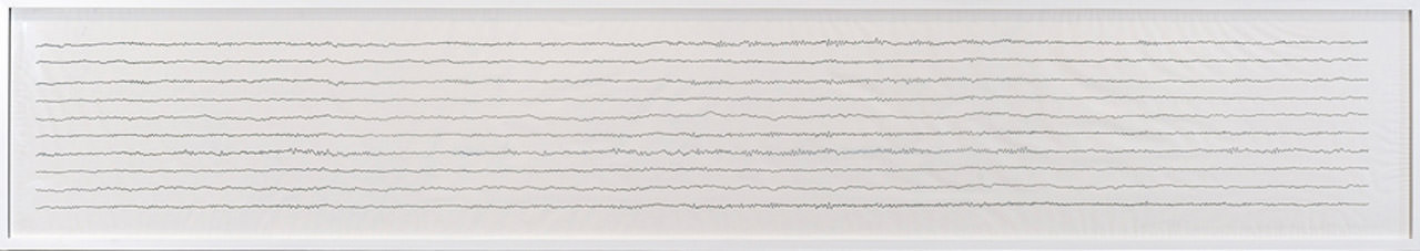 glenda-leon-spotless-mind-2012-digital-print-on-vellum-50-x-300-cm
