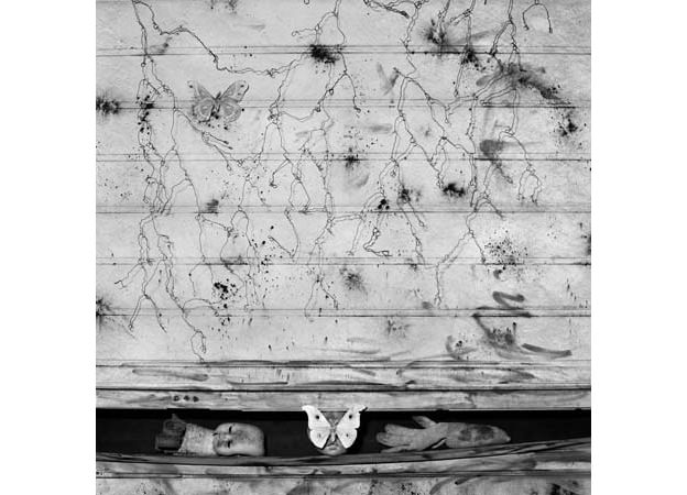 intertwined-2007-gelatin-slver-print-80-x-80-cm
