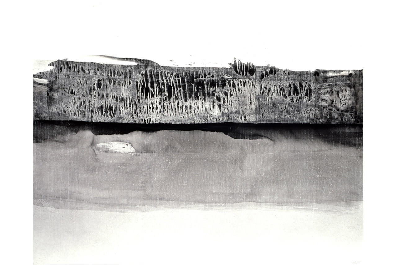la-nature-morte-2011-tinta-china-sobre-tela-54x65-cm
