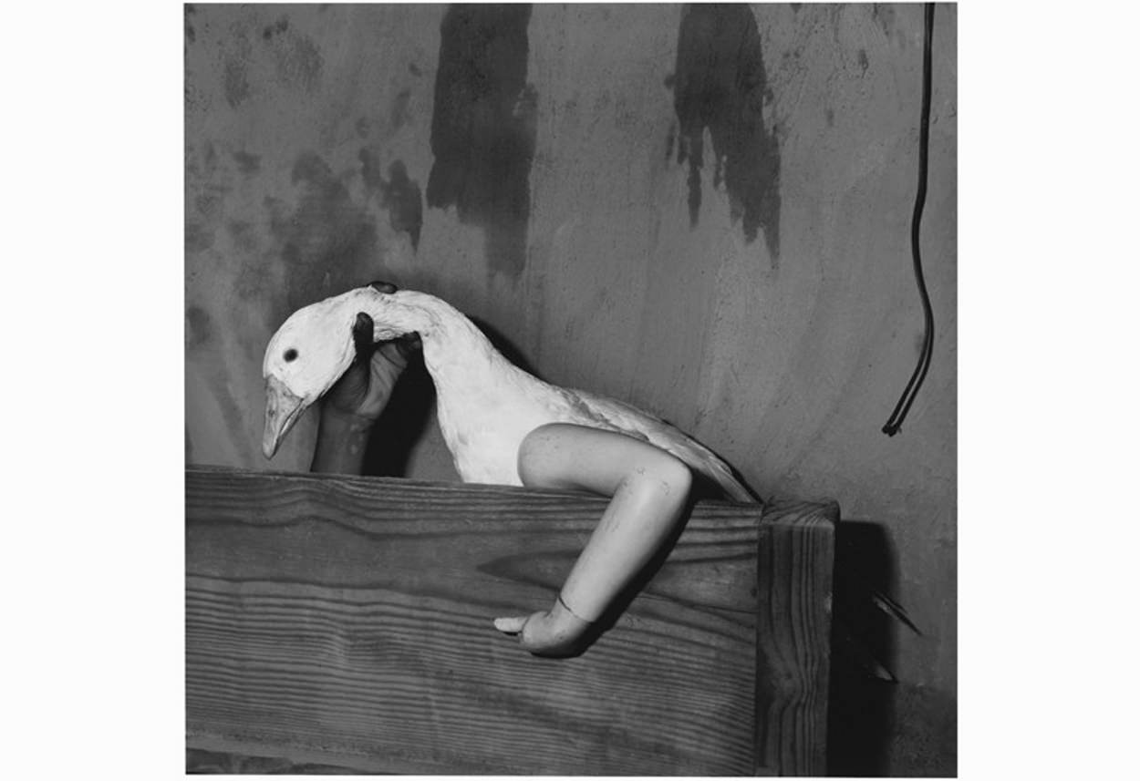one-arm-goose-2004-gelatine-silver-print-40-x-40-cm