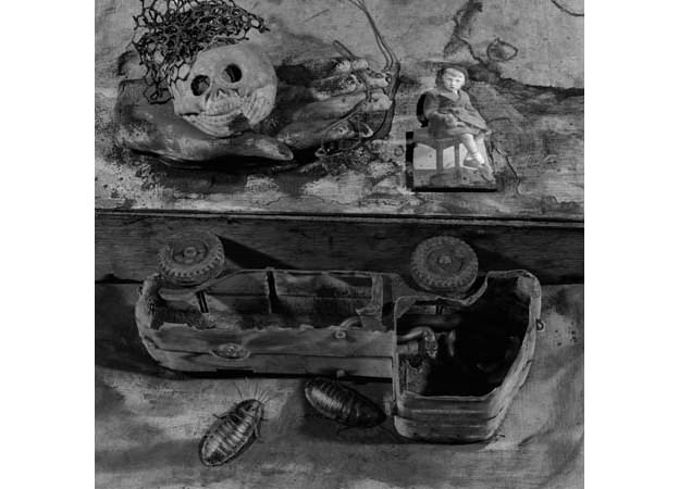 remembrance-2008-silver-gelatin-print-50-x-50-cm