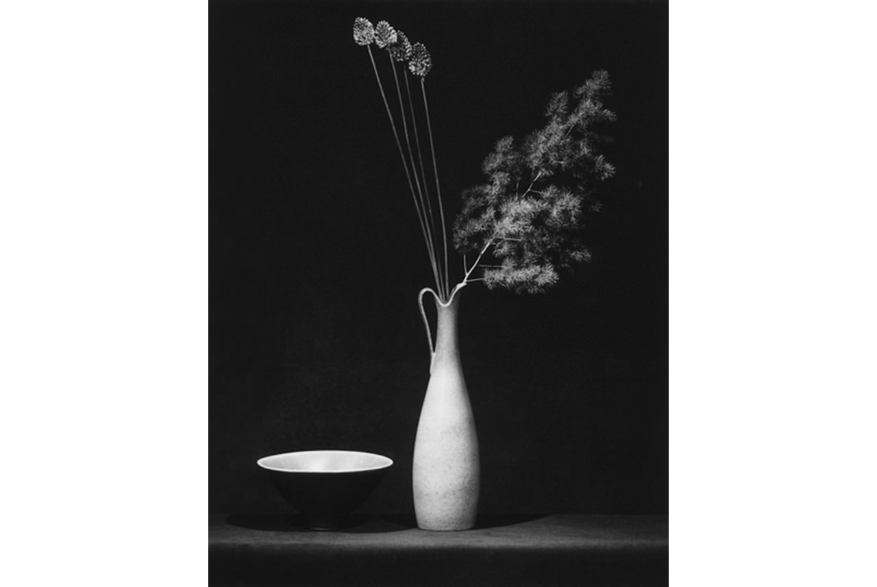 robert-mapplethorpe-flower-1983-impressio-de-gelatina-de-plata-copyright-robert-mapplethorpe-foundation-used-by-permission