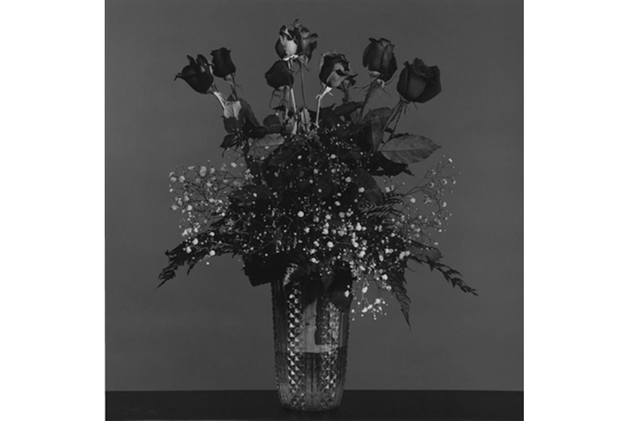 robert-mapplethorpe-rose-1982-silver-gelatin-print-copyright-robert-mapplethorpe-foundation-used-by-permission
