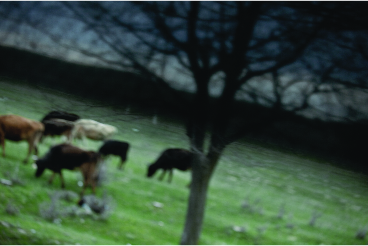 simon-lee-for-whiteonwhite-by-eve-sussman-rufus-corporation-caws-a-shadow-over-the-land-serie-2009-photography-44-x-63-cm
