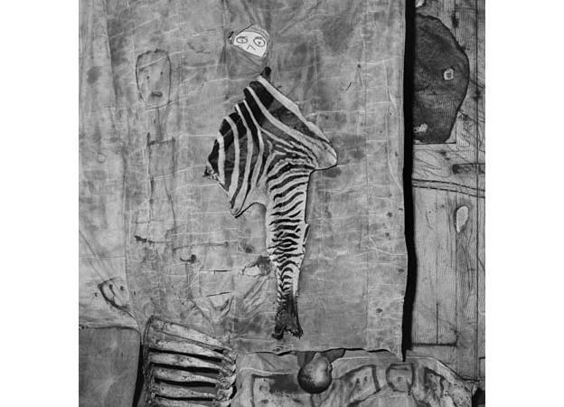 skins-and-bones-2007-silver-gelatin-print-80-x-80-cm