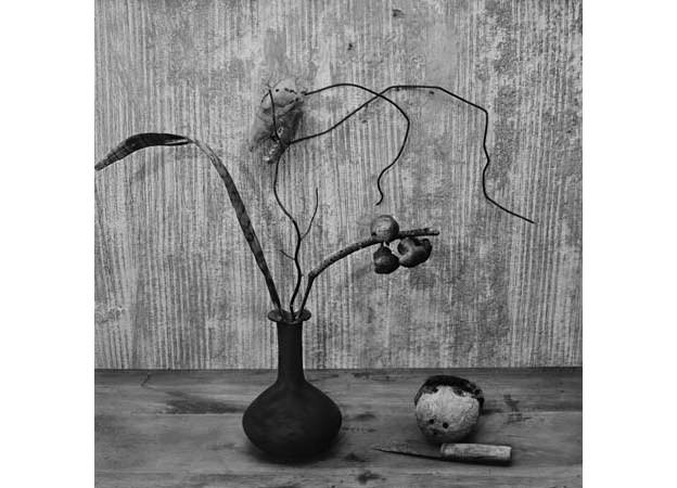 vase-and-skull-2005-gelatin-silver-print-50-x-50-cm