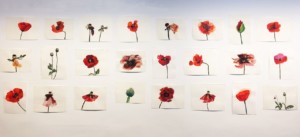 teresa-serrano-the-forgotten-history-of-the-first-drug-war