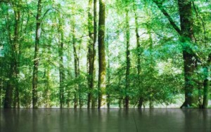 cada-respiro-glenda-leon-2015