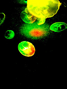 jordi-bernado-ciudades-museos-mujeres-medusas