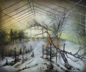 simulacrum-por-anthony-goicolea