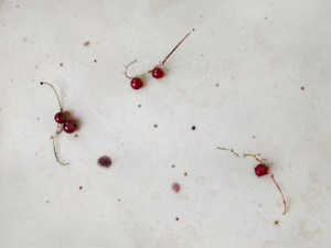 solo-show-oleg-dou-en-viena