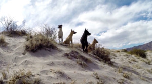 miguel-angel-rios-landlocked