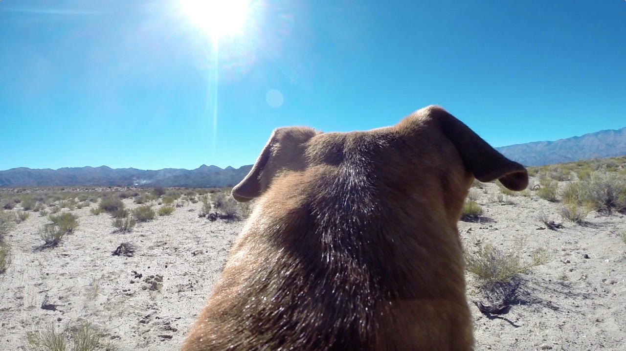 Miguel Angel Ríos, Landlocked, 2014, video color, 5min 3 seg