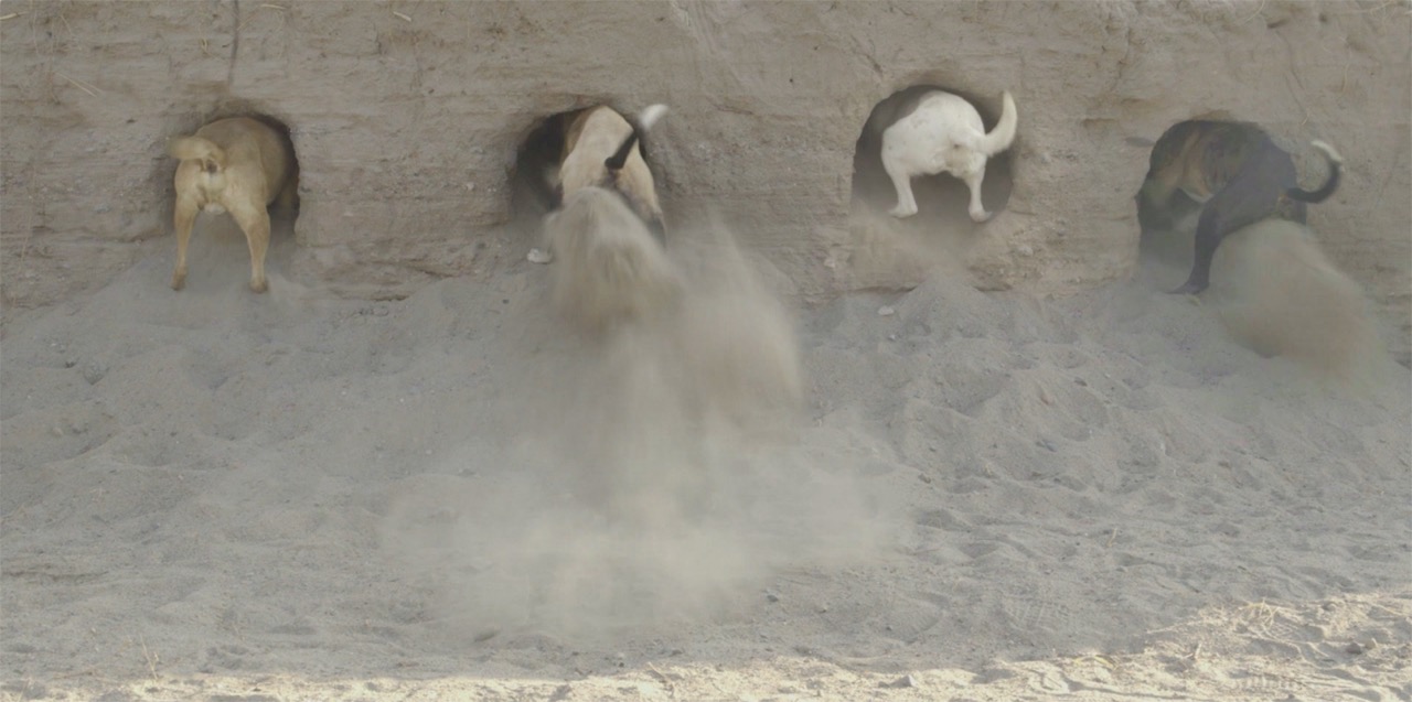 Miguel Angel Ríos, Landlocked, 2014, video color, 5min 3 seg