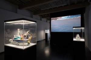 aesf-mare-mediterraneum