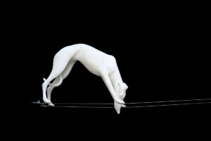 miguel-angel-madrigal-la-distancia-que-separa