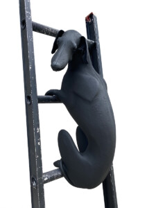 miguel-angel-madrigal-la-distancia-que-separa