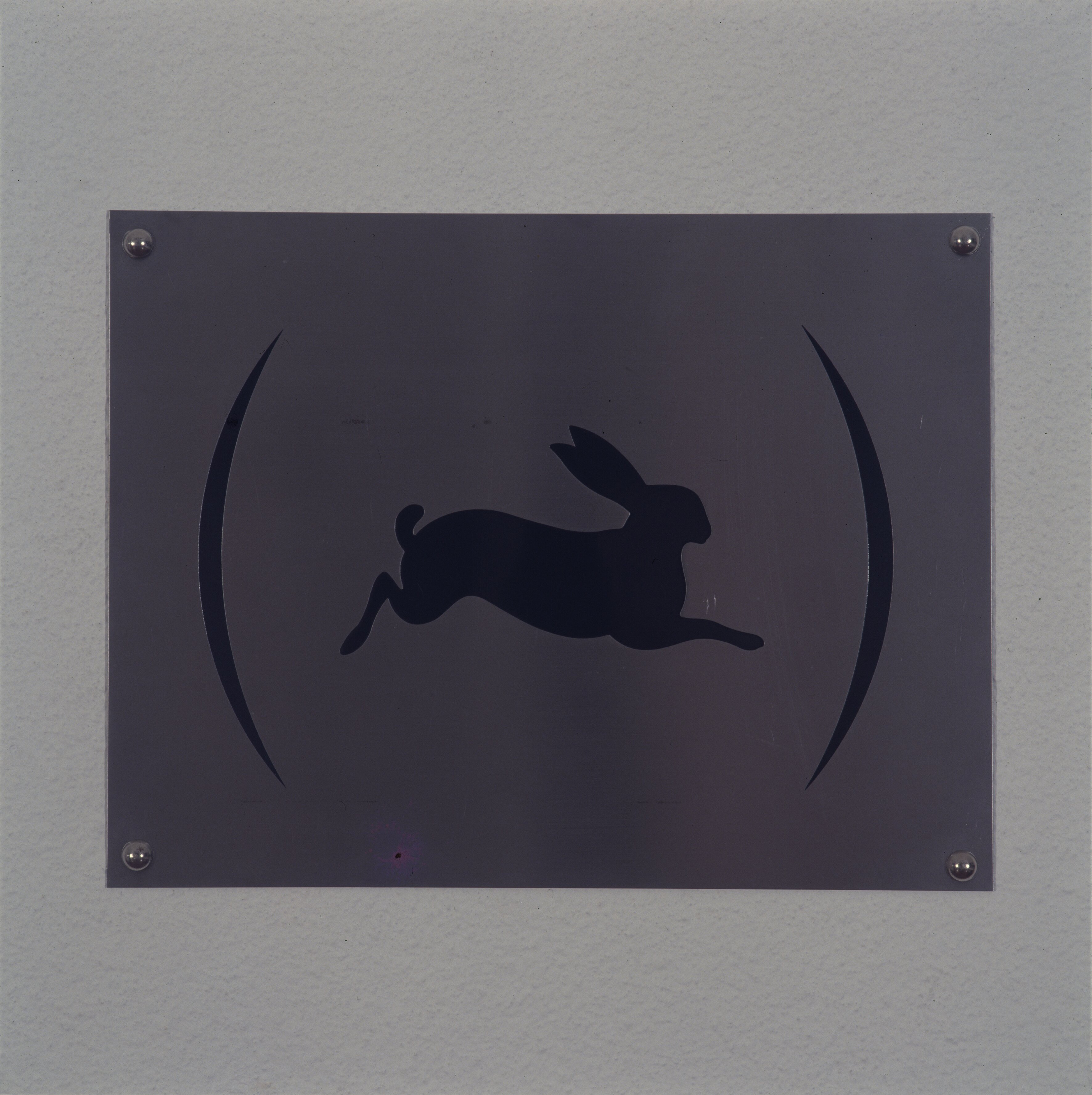 iran-do-espirto-santo-still-rabbit