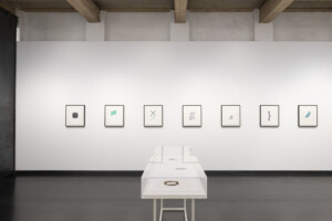 iran-do-espirito-santo-el-pangolin