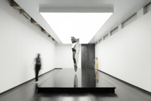 gonzalo-guzman-colision