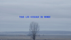 tous-les-oiseaux-du-monde-para-loop-fair-2023-xavi-bou