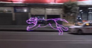 james-clar-run-dog-wild-loopfestival2023