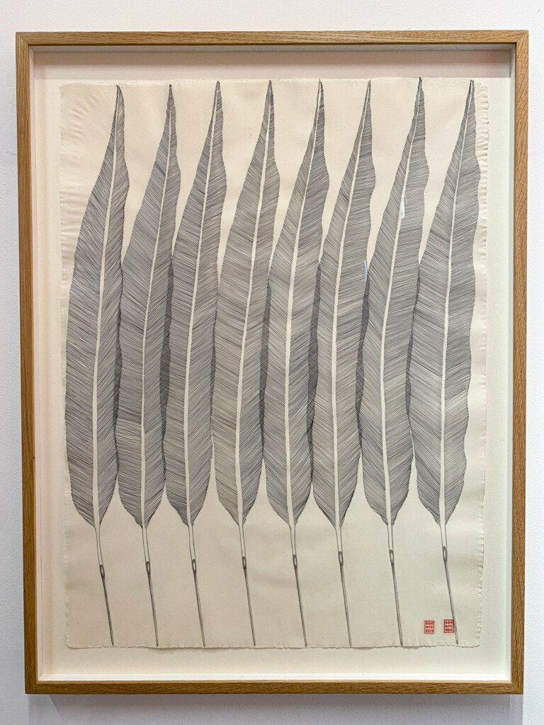 Cuadro de ocho plumas dibujadas sobre papel