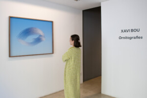 xavi-bou-ornitografias