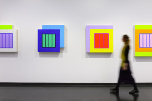 peter-halley-the-long-game