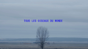 galeria-senda-en-loop-lab-busan