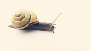 glenda-leon-en-loop-barcelona