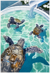 marcel-r-juliana-an-aquatic-stroll