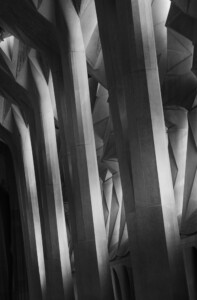 GAUDI_098