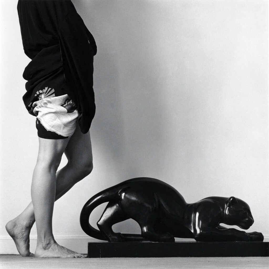 robert-mapplethorpe-un-known-pleasures